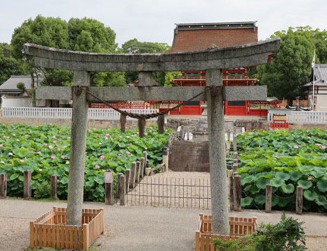 神橋(石橋）